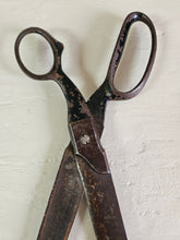 Load image into Gallery viewer, Molybdenum Made in USA Upholstery Shears 2348
