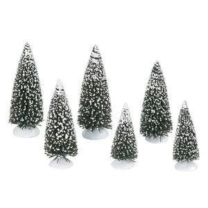 DEPARTMENT 56, VILLAGE ACCESSORIES FROSTED PINE GROVE, SET OF 6
